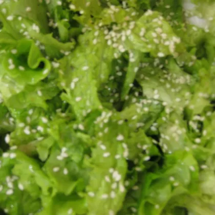 Зеленый салат с заправкой винегрет