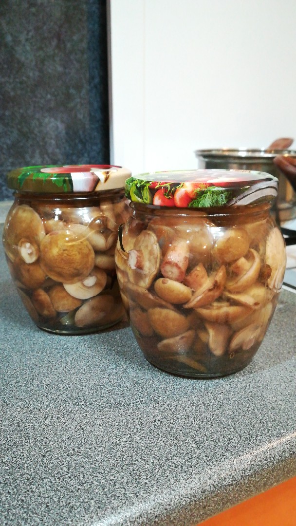 Маринованные маслятки😋