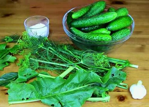 🥒 Огурцы завёрнутые в листья хрена
