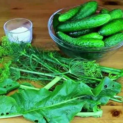 🥒 Огурцы завёрнутые в листья хрена