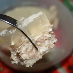 Холодец из свиной рульки в мультиварке
