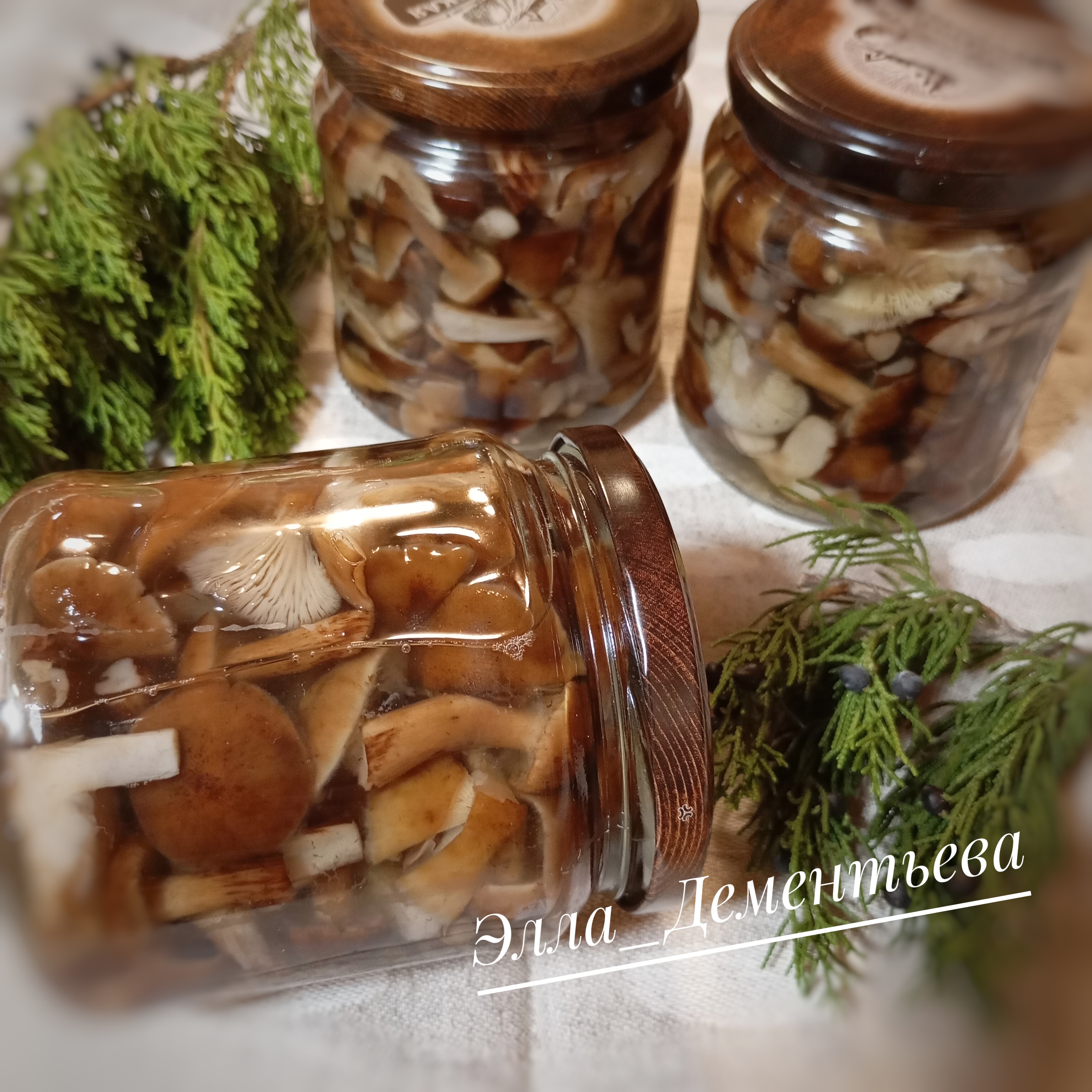 Опята осенние маринованные