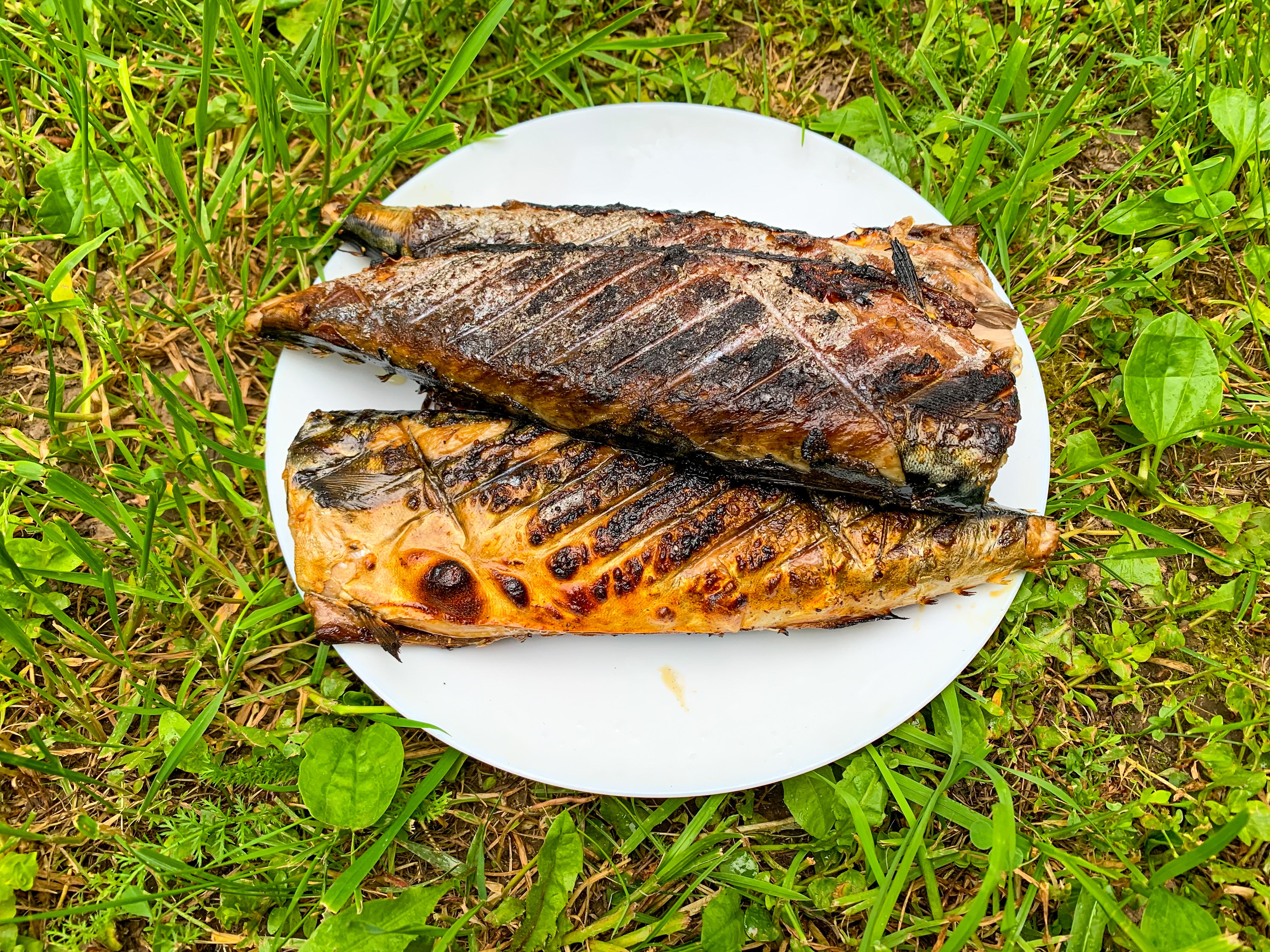 Скумбрия на мангале