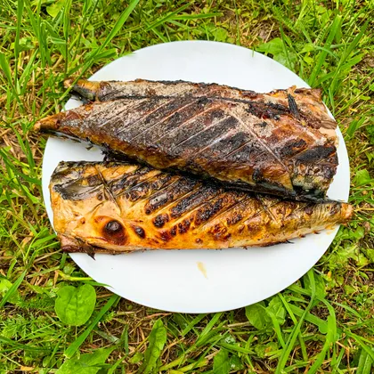 Скумбрия на мангале