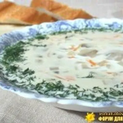 Суп с макаронами и сыром