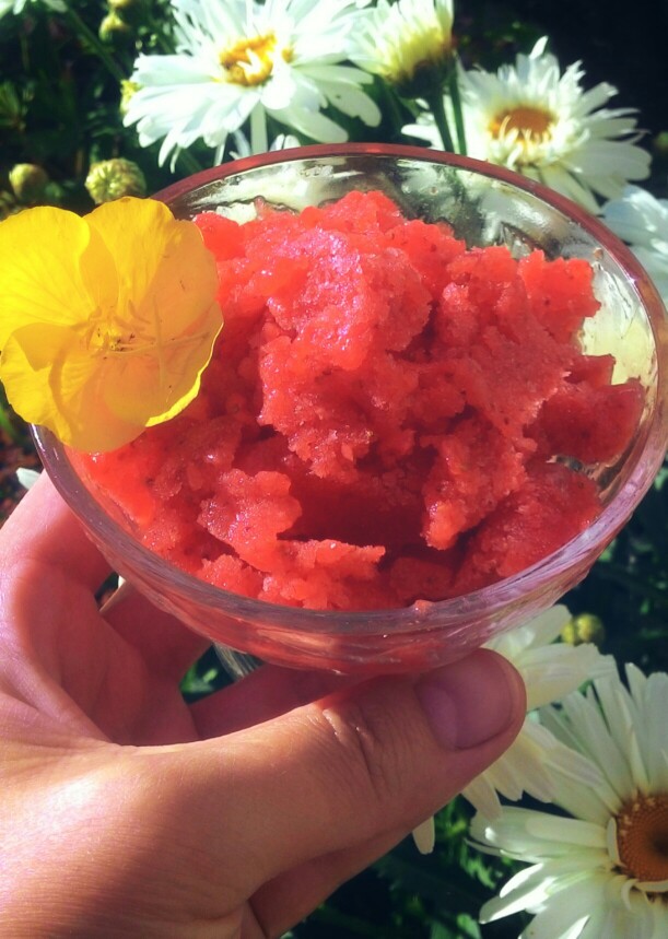 Клубнично-цитрусовое сорбе 🍓🍊🍋