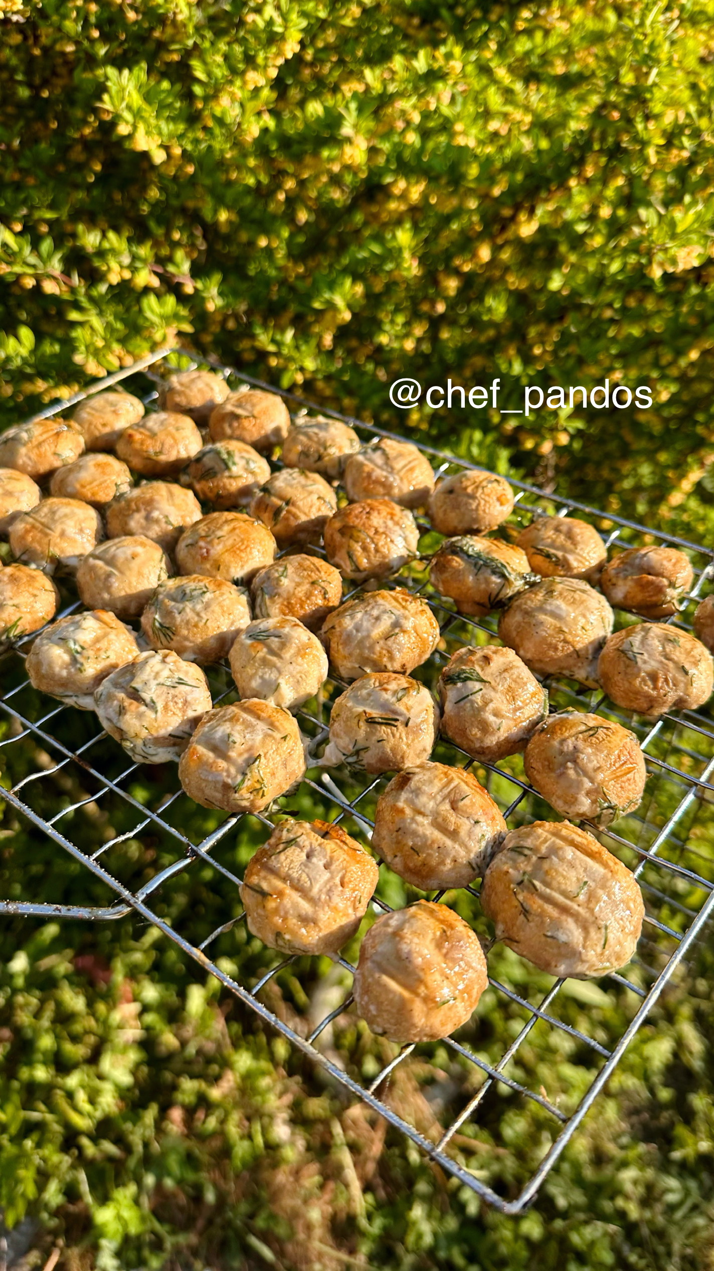 Маринованные шампиньоны на мангале - простой и вкусный рецепт с пошаговыми фото