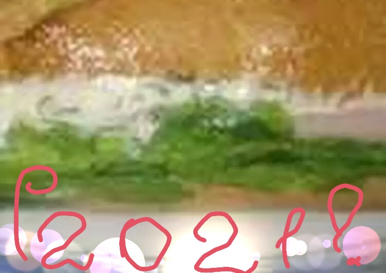 Итальянский Панини (бутерброд)