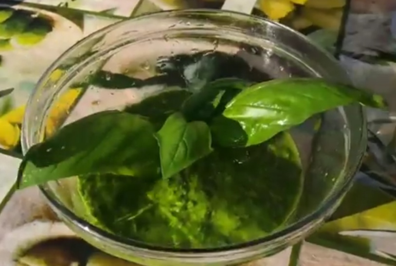 Соус Песто. Оригинальный рецепт