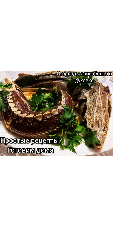 Блюда из стерляди - рецепты с фото на luchistii-sudak.ru (22 рецепта стерляди)