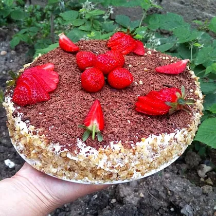 Тортик🍰