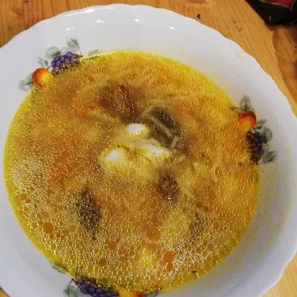 Суп из сушеных грибов на курином бульоне