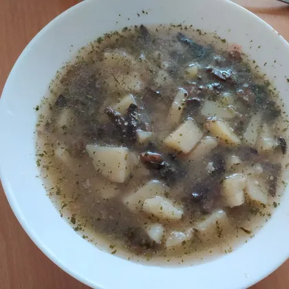 Грибной суп с окарой - соевым жмыхом (веганский)