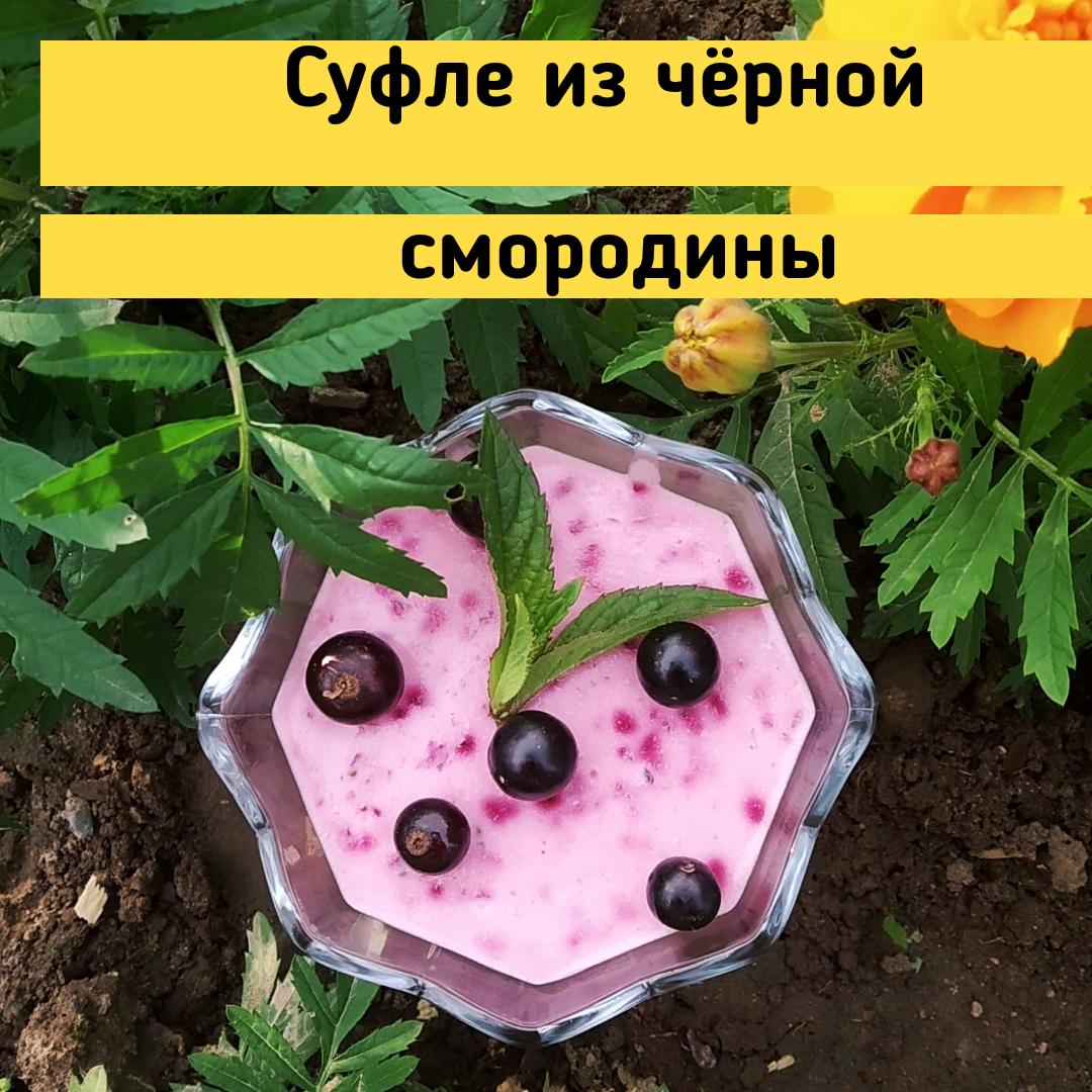 Суфле из черной смородины