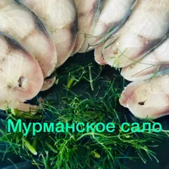 Малосольная скумбрия