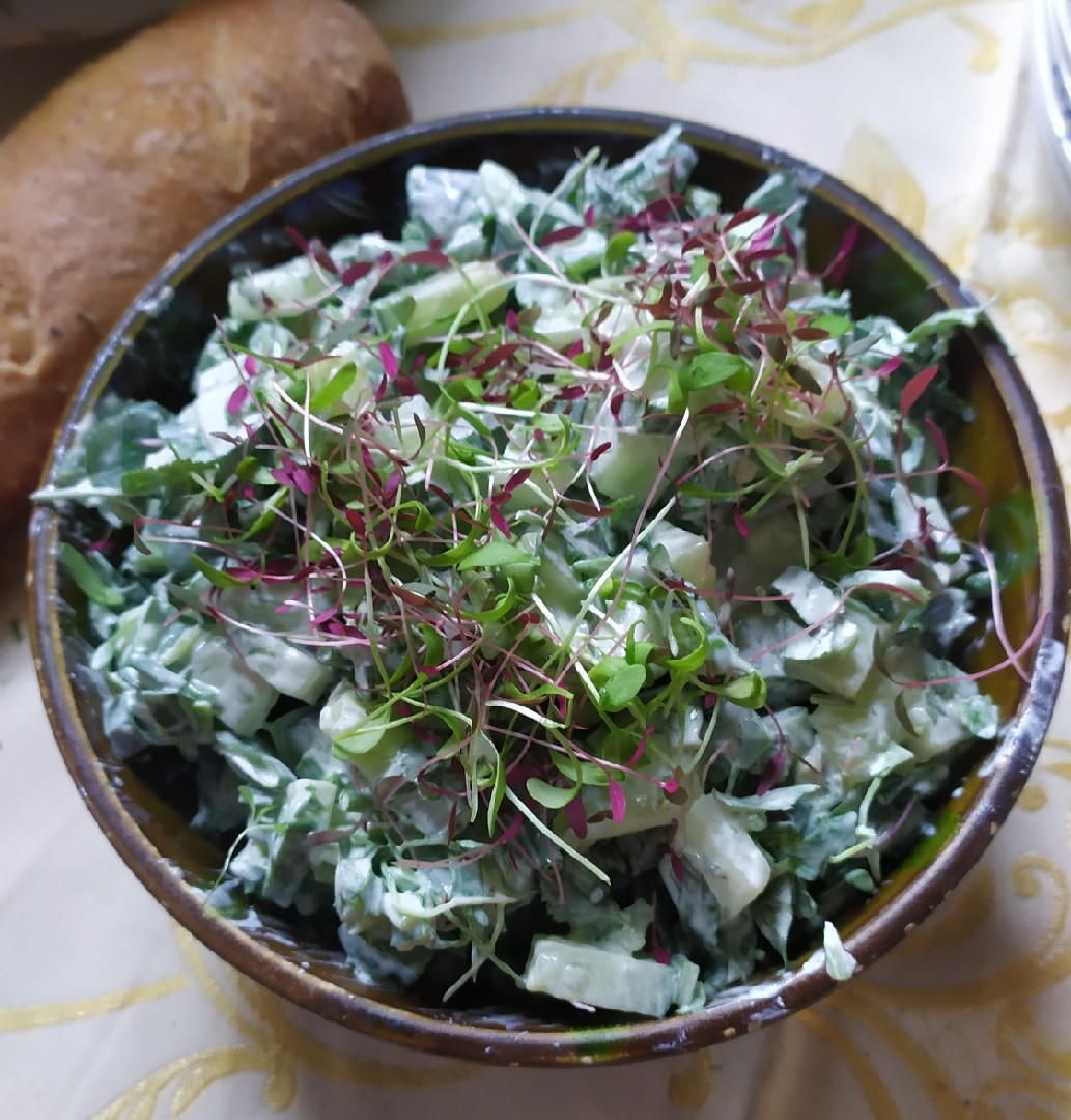 Зелёный 🥗 салат рецепт с фото пошаговый от Наталия Решетник - Овкусе.ру