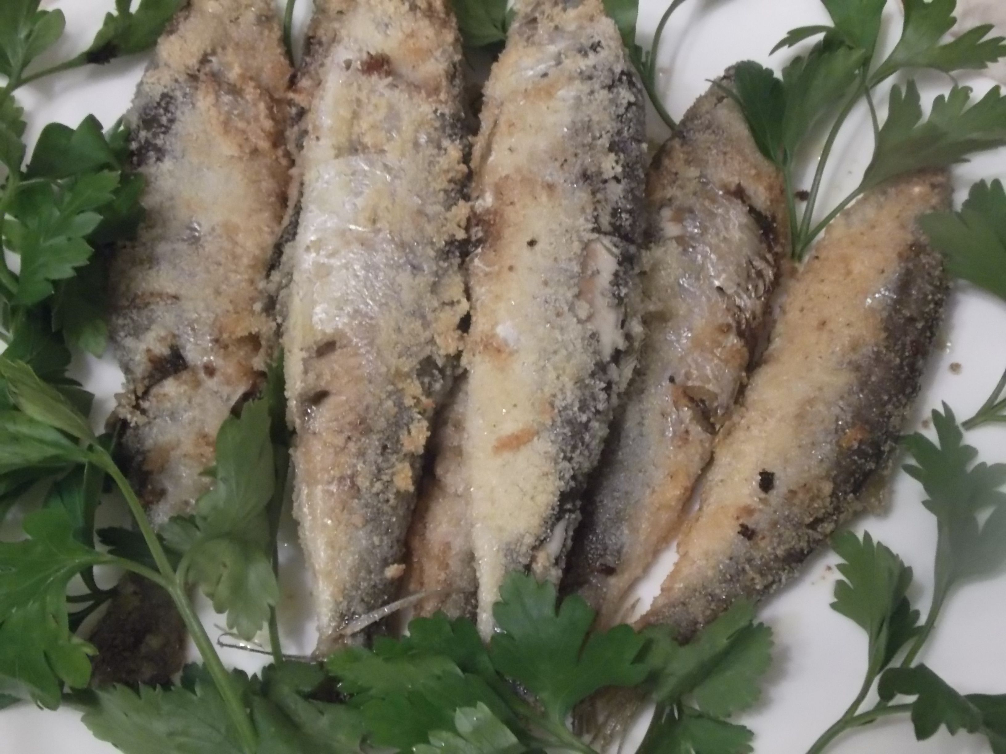 Салака жареная в манке