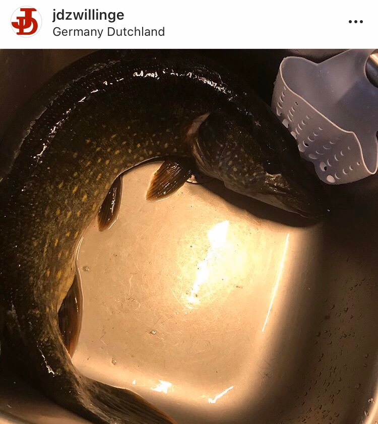 Щука тушёная с овощами 🐟
