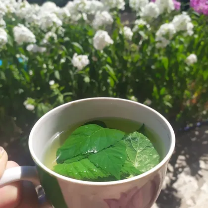 Зелёный летний чай 🍵