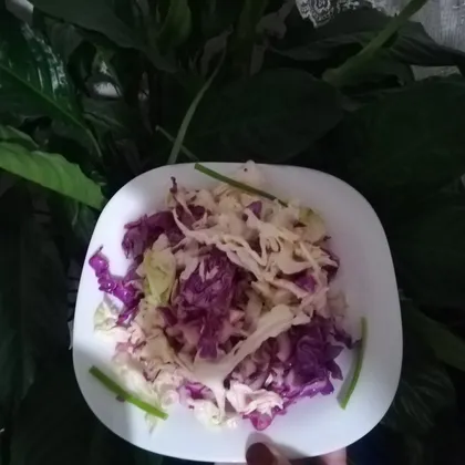 Салат из двух видов капусты