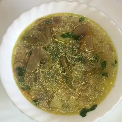 Куриный суп с грибами шампиньонами и зеленью