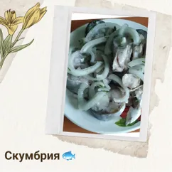 Скумбрия маринованная