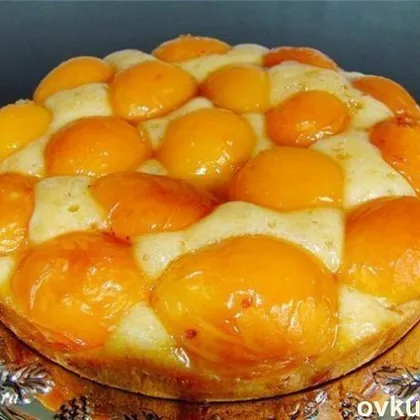 Медовый бисквитный пирог с абрикосами