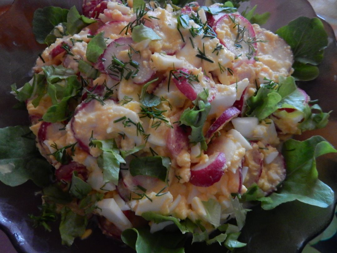 Салат с редиской и сметаной. Салат с редиской и яйцом фото. Рецепт редиска с салатными листьями и яйцом. Как приготовить обычный салат с яйцом и редиской. Редис.