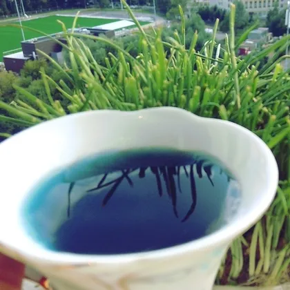 Анчан или Чанг Шу - тайский синий чай для здоровья