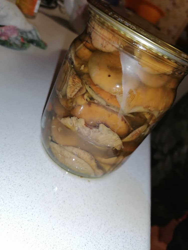 Маринованные грибочки