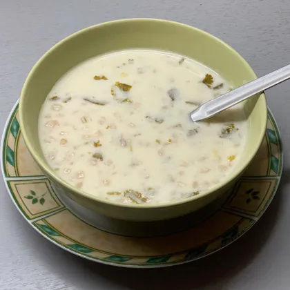 Спас-суп на кисломолочной основе