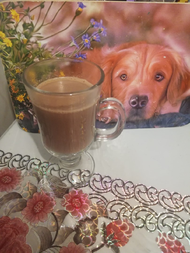 Шоколадное молоко
