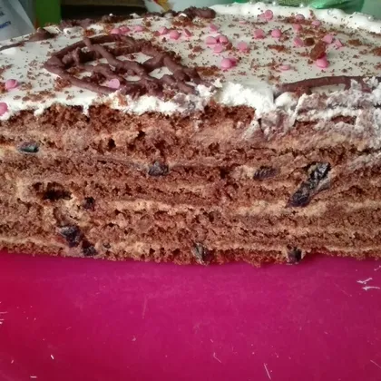 Торт медовик шоколадный с черносливом