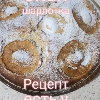 Шарлотка