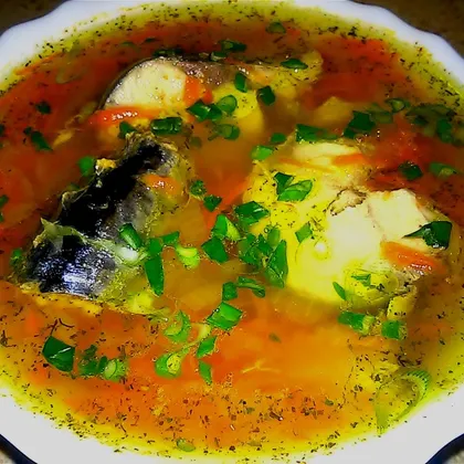 Суп из скумбрии