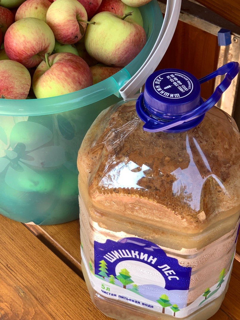 Яблочный сок на зиму в домашних условиях – рецепт закатки через соковыжималку - Braun-Shop