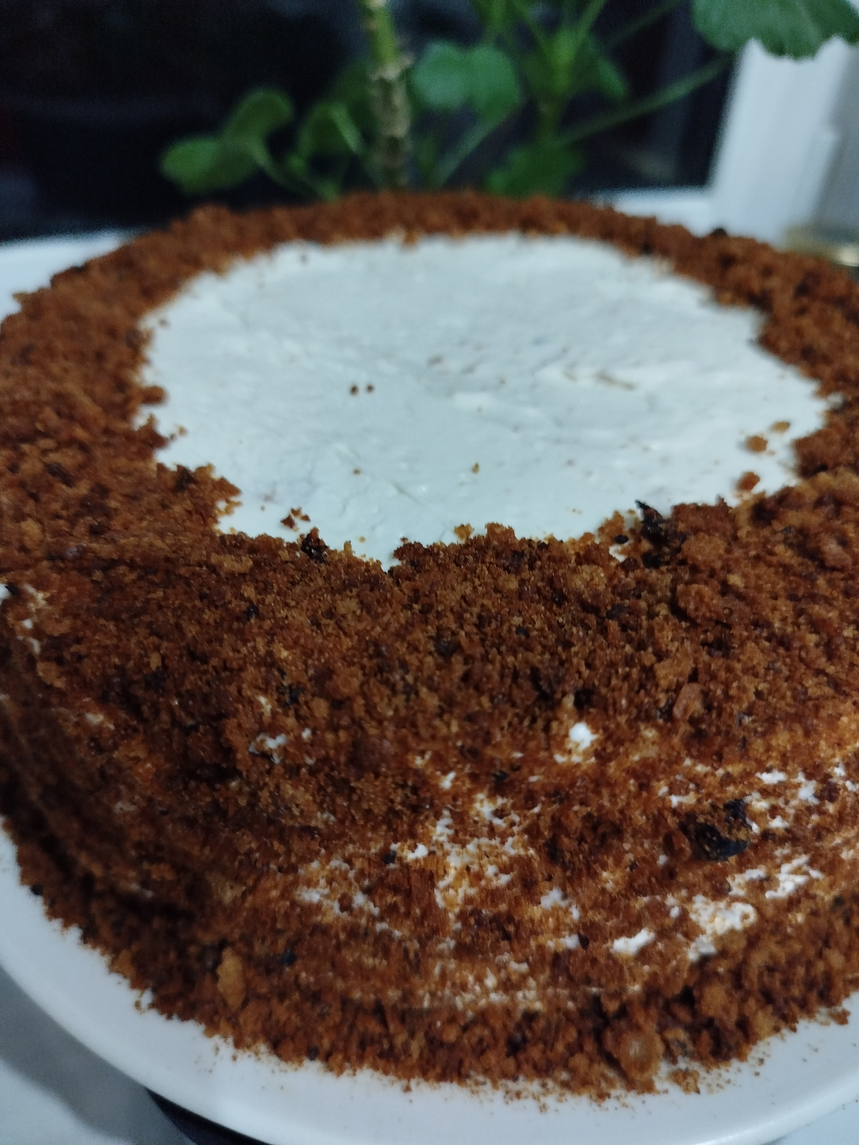 Торт Черный принц с черной смородиной 