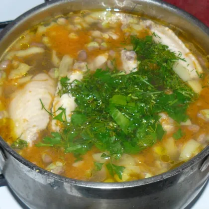 Легкий куриный суп с молодой фасолью