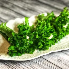 Закуска