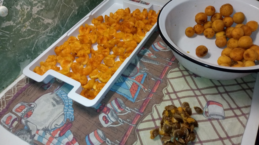 Замораживаю абрикосы для приготовления вкуснейшего компота зимой