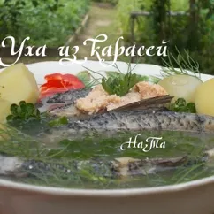 Уха из карасей