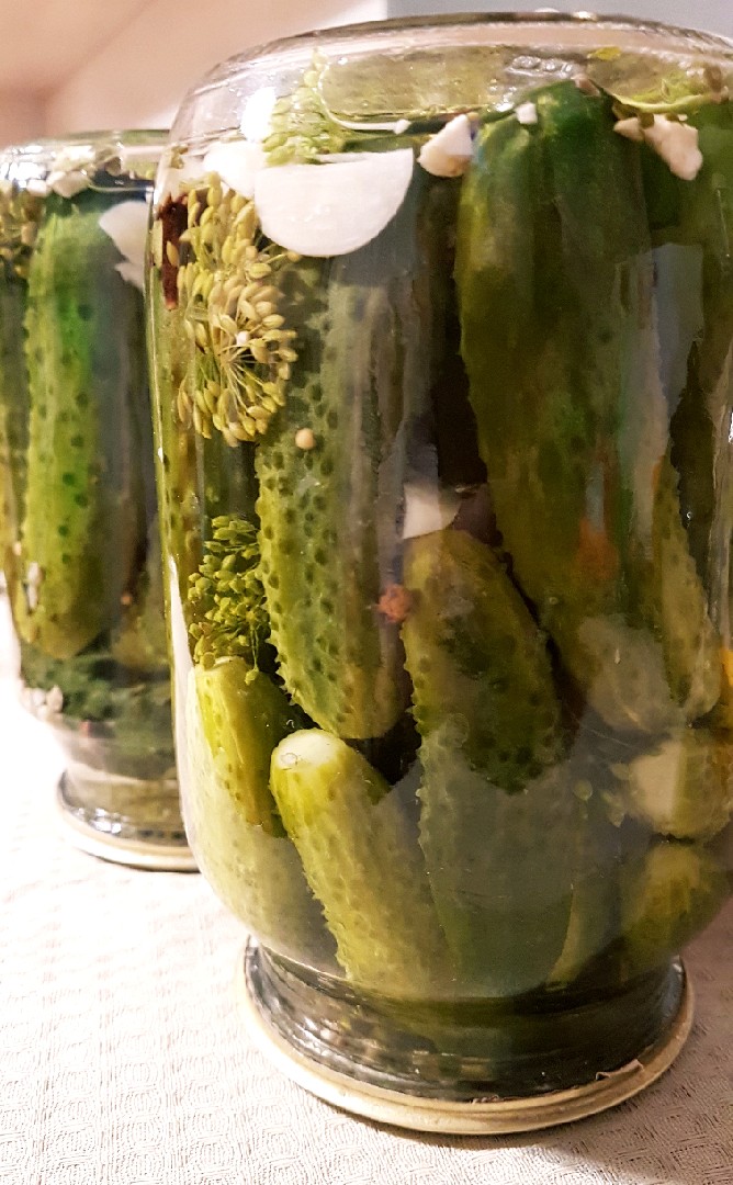 Маринованные корнишоны