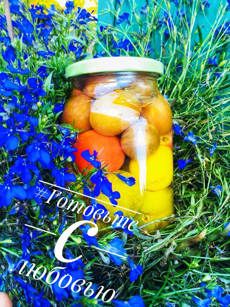 Помидоры с морковной ботвой🥕