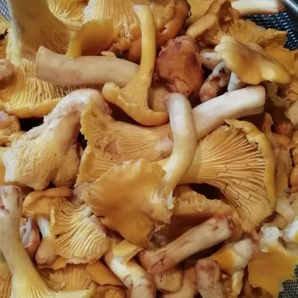 Жареные грибы на скорую руку