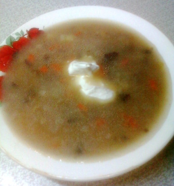 Суп из сушеных подосиновиков - рецепт с фото на kormstroytorg.ru