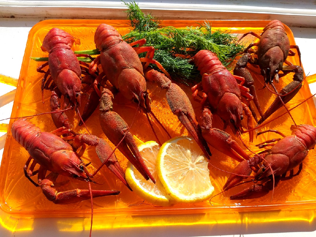 Варёные раки🦞