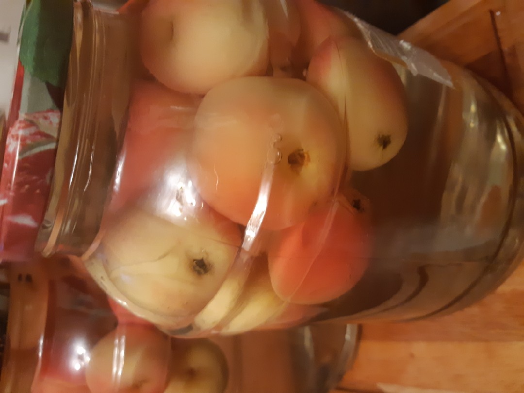 Компот из ранеток и черноплодки. Компот из полукультурки. Компот из ранеток на зиму на 2-х литровую. Компот из ранеток на зиму без сахара. Компот из ранеток на зиму на 2-х литровую.