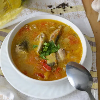 Суп-рагу из рыбы с овощами