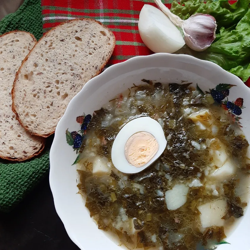 Зеленый борщ