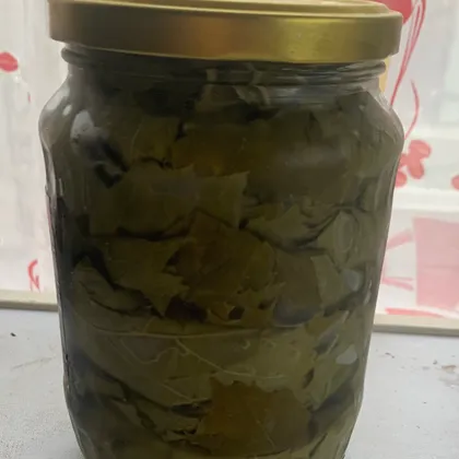 Маринованные листья винограда для долмы
